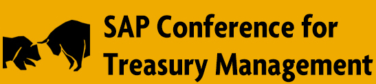 SAP Treasury Management